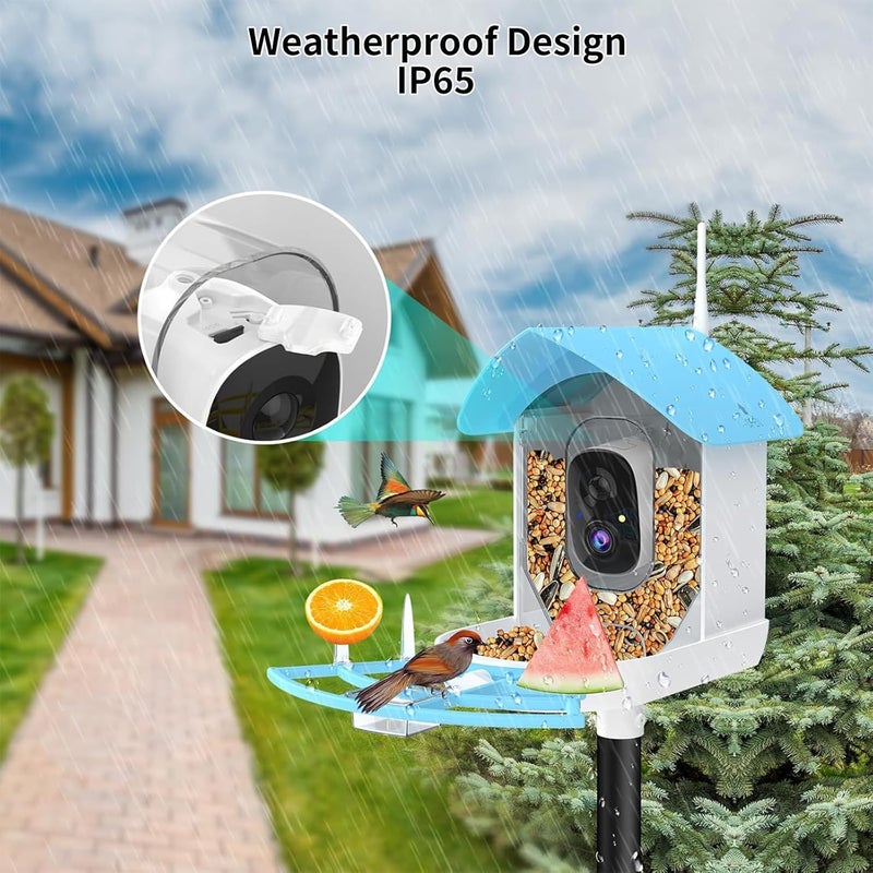 Fazoxo Bird Feeder with Camera, Smart AI Bird Breed Recognition,Birds Motion Detection with Real Time Notice, Solar Powered Auto Capture Bird Watching WiFi Camera,Gifts for Birdlover,Family,SkyBlue - Image 4